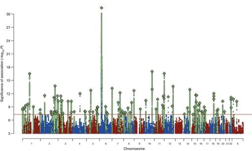 Schizophrenia's Genomic 'Skyline'