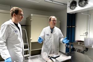 Researchers with Atlantic herrings in the lab