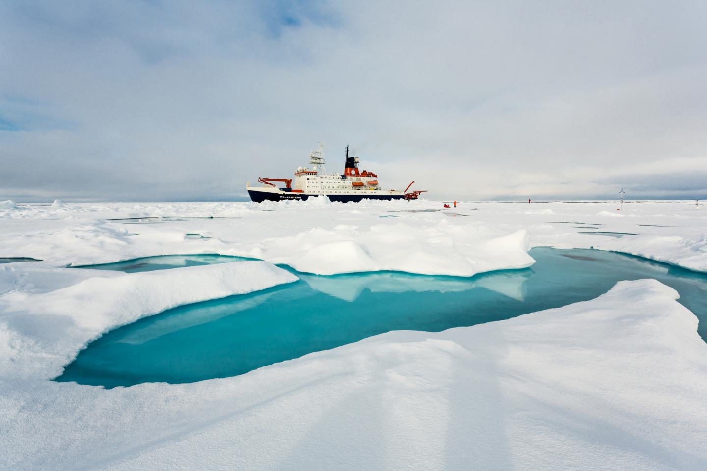 Life on the Floor of the Arctic Ocean, with Rigor and in Detail (1 of 3)