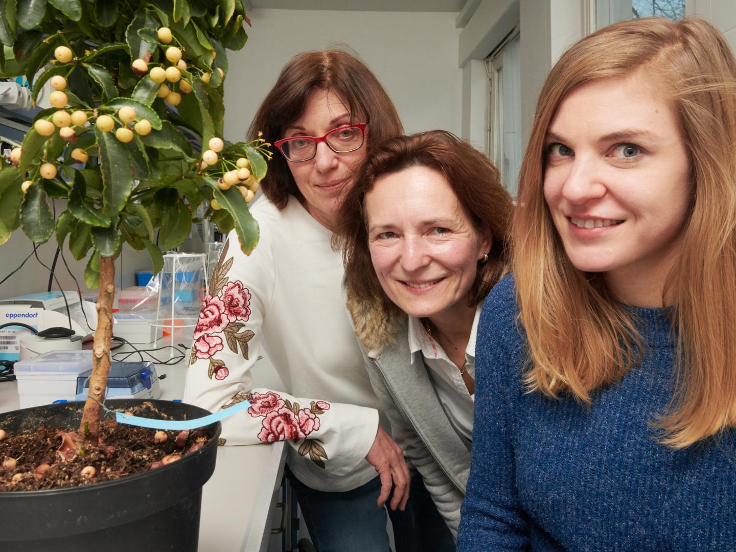 The Team of Researchers