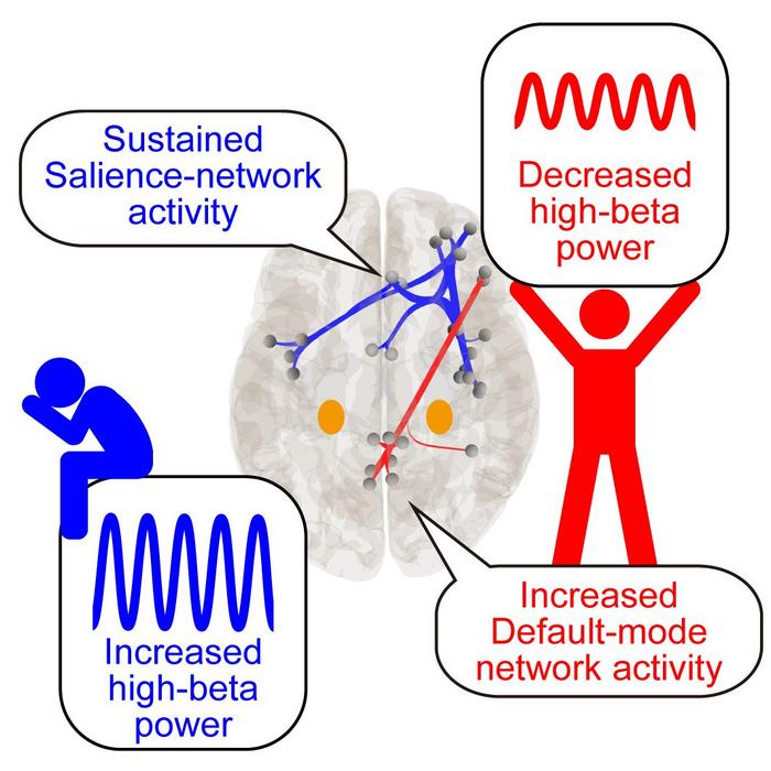 Hidden “Resilience Window” Found in Human Brain One Hour After Stress