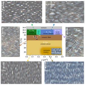 Reconfigurable phases of porous colloids in liquid crystals