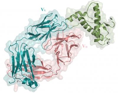 Prion Image