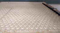Experimental Setup