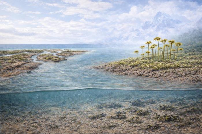Early land plants reshaping Earth's surface environments in the Late Ordovician