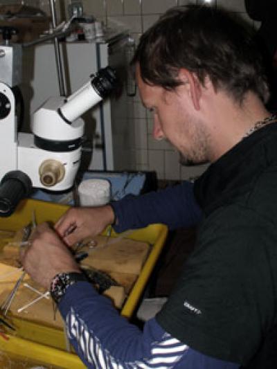 Henrik Seth, University of Gothenburg