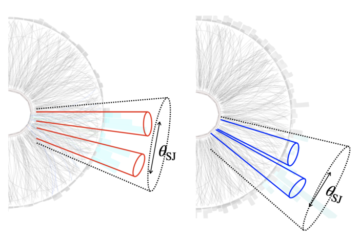 RHIC STAR detector jet topology results