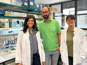 New tool to generate aneuploidies and analyse their impact on development
