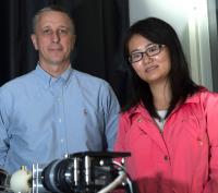Rice University Researchers