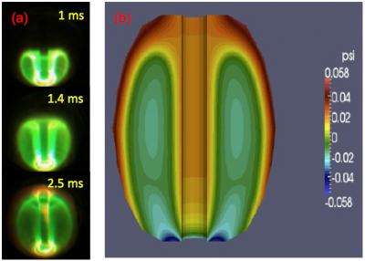 Plasma Simulation and Experiment Compared