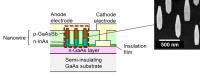 Cross-Section