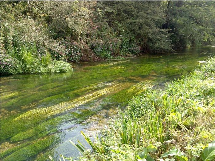 A chalk stream.