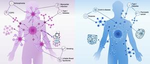 Differences in the development of diseases, based on the patient's sex