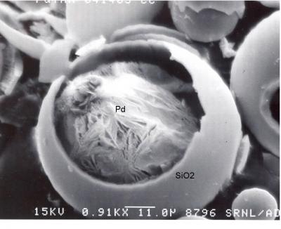 A Microballoon and its Contents