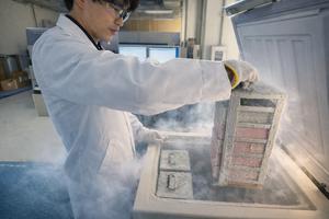 251218-Morita-Frozen-Freezer