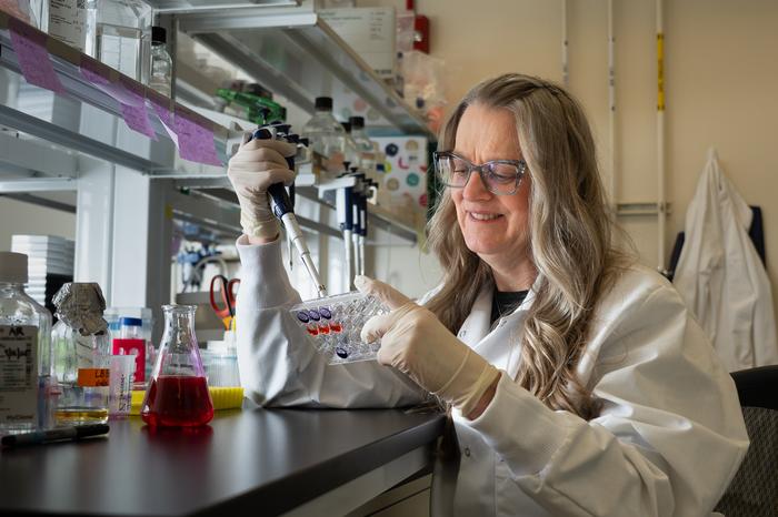 Andrea Kasinski is developing cancer drugs based on microRNAs