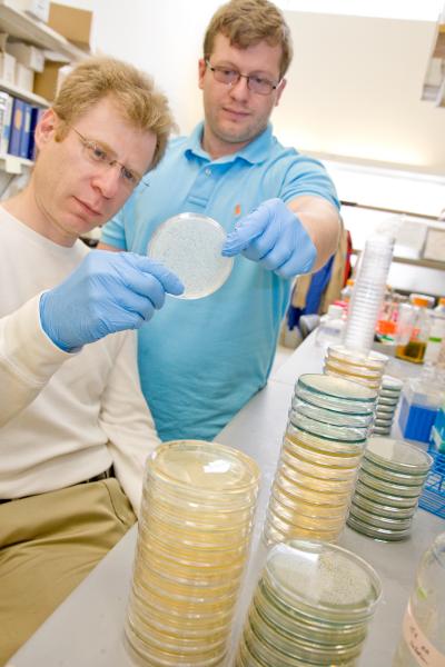 Leonid Kruglyak and Ian Ehrenreich, Princeton University