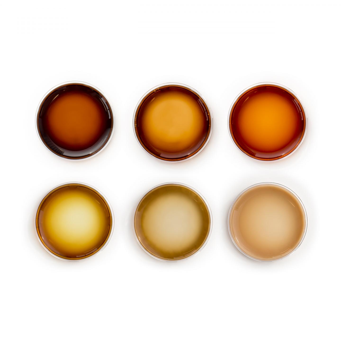 Pigments By Design