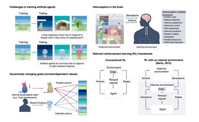 Figure 1. Interoception in living organisms and artificial agents