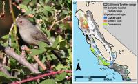Towhee and Climate Map