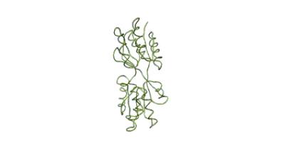 Proteins (2 of 2)