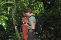 Researchers on Bioko Island