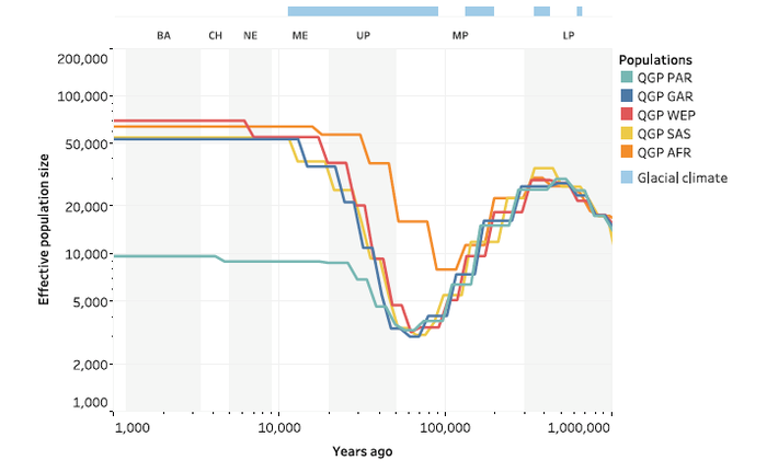 a Effective population size over time, inferred using SMC++
