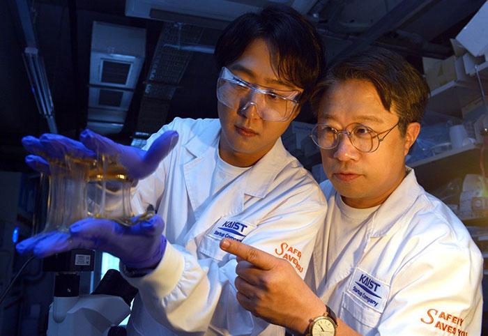 KAIST Develops Hydrogel Material with Improved Skin Adhesion and Controllable Degradation Rate​