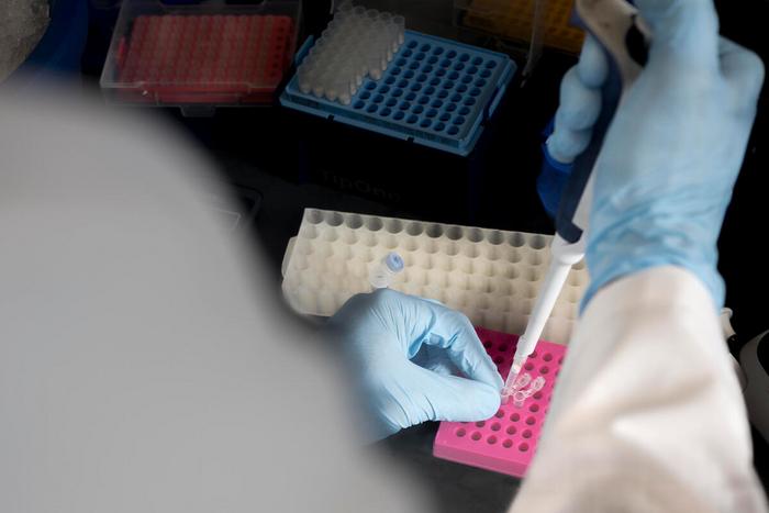MSK Research