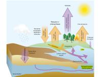 Extreme Weather Consequences