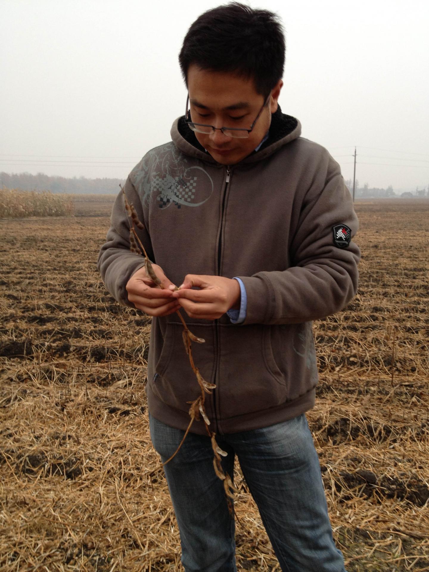 Scrutinizing a Controversial Crop