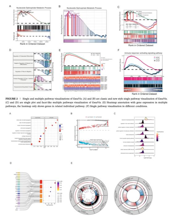 GseaVis Visualization Examples