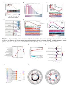 GseaVis Visualization Examples