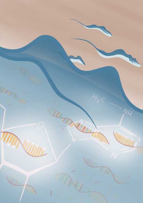 Alterações nas moléculas de RNA mensageiro do parasita que causa a doença do sono protegem estas moléculas de degradação.