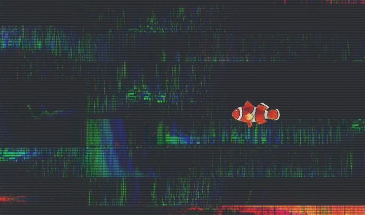 Fish/Information