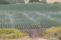 Sprinklers