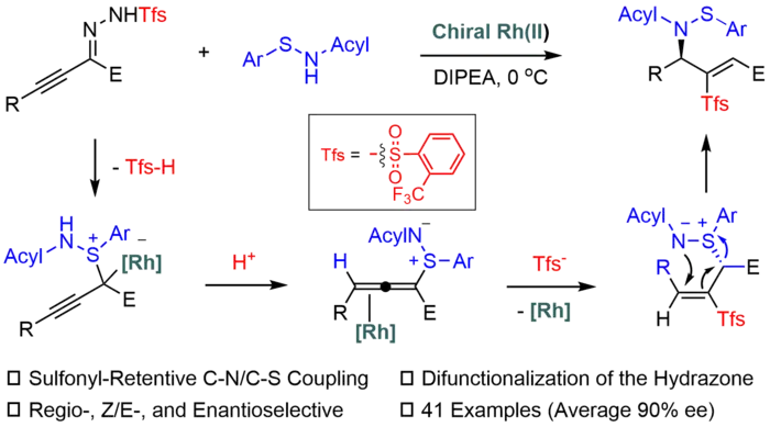 Graphical Abstract - Enantioselective aza-Mislow-Evans rearrangement through S-allenylation of sulfenamides with alkynyl carbenes