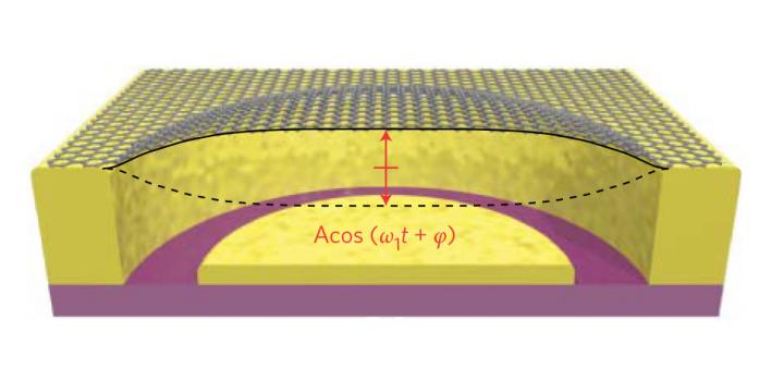 Schematic Cross-Section of a Graphene Drum
