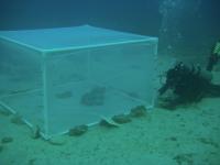 Enclosure