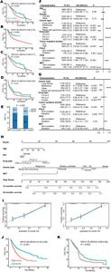 MET mutation as an independent biomarker for favorable outcomes in pan-cancer immunotherapy.