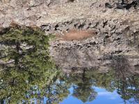 El Malpais National Monument