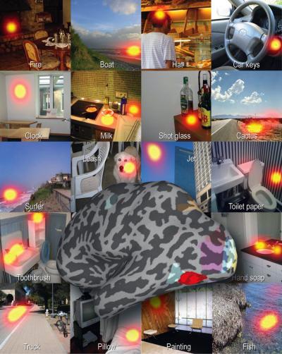 Photos of Scenes Flashed before the Subjects