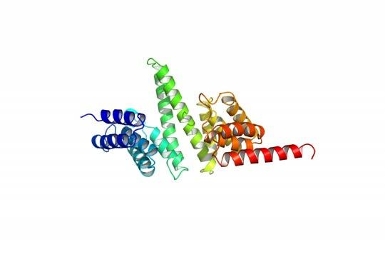 Video: 'Freezing a Bullet' to Find Clues to Ribosome Assembly Process