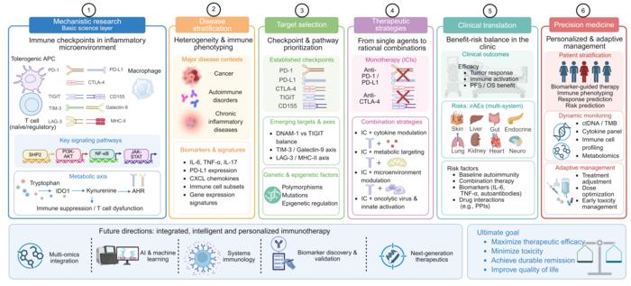 Translational roadmap for checkpoint-targeted precision immunotherapy.
