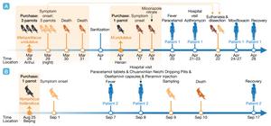 Epidemiological timelines, clinical imaging and pathology, and molecular diagnosis and phylogeny analysis of C. psittaci infection