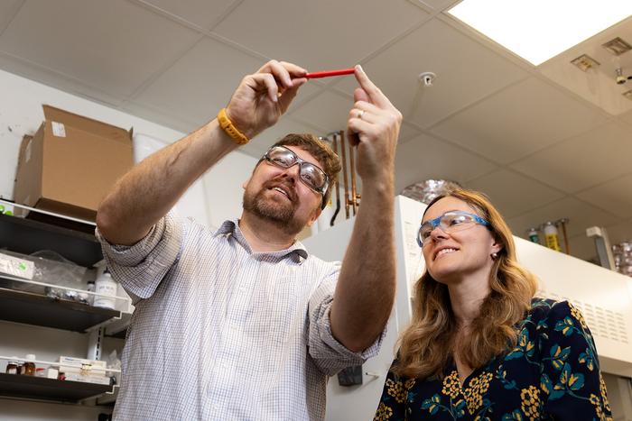 University of Tennessee Professors Collaborate to Study Magnetism of Bees