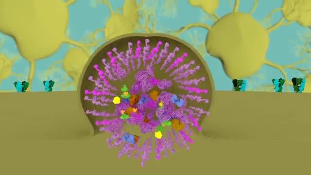 A Virus-Like Protein is Important for Storing Long-Term Memories
