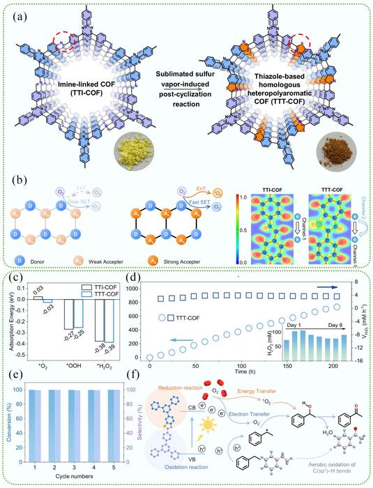 Rational design of robust catalysts for enhanced photocatalytic hydrogen peroxide production and value-added chemical synthesis