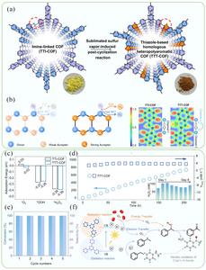 Rational design of robust catalysts for enhanced photocatalytic hydrogen peroxide production and value-added chemical synthesis