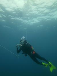 Alex Gagnon Diving